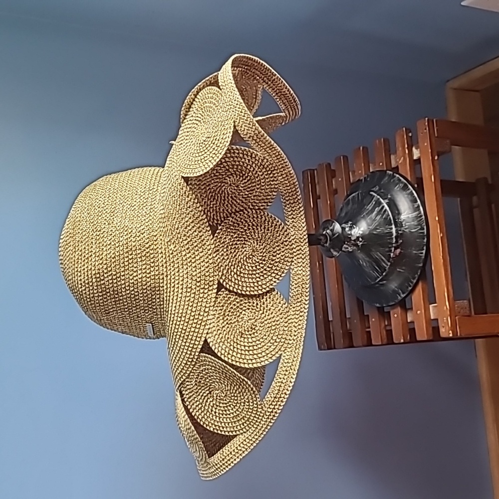 Ambani Woman's Hat